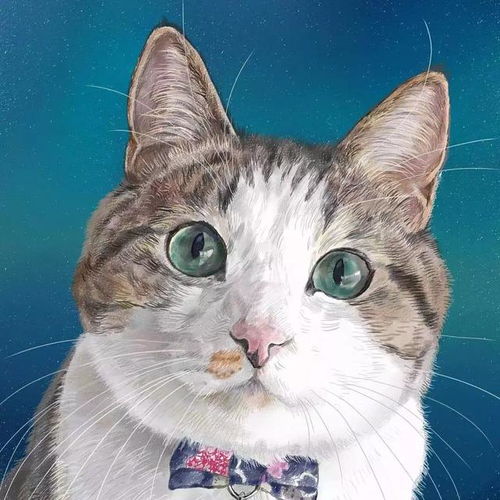  福懋动物医院分享一个故事,女友不喜欢猫,你很痛苦吧