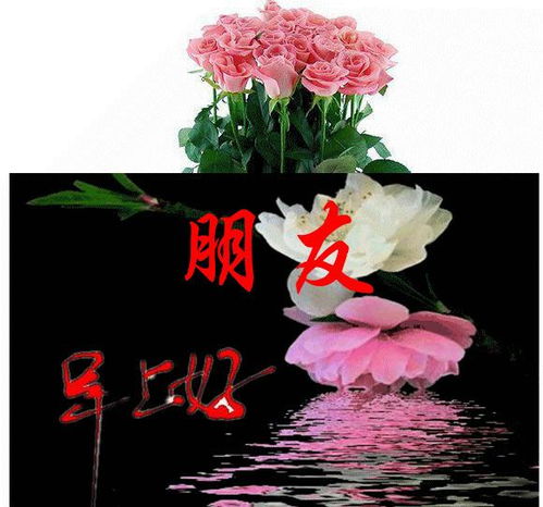  一路走来,有千万人经过身边,可是却只有你相知相伴,早安