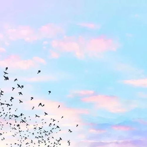  背景图余生活得贵一点爱得久一点