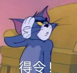 是真的吗系列表情包猫和