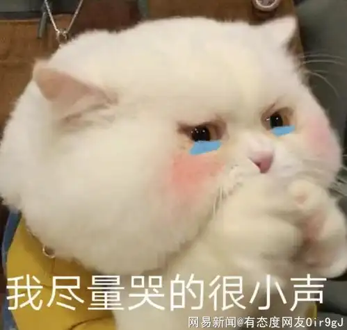  他的网易跟贴