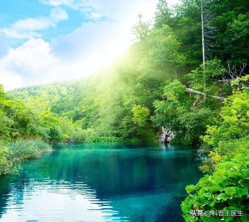  夏日炎炎,避暑胜地大揭秘速来降温