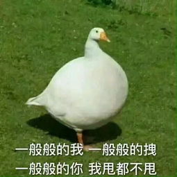  北京市网信办约谈新浪高通苹果突然宣布达成和解京东方面律师回应刘强东再遭诉讼坚决进行辩护猬报