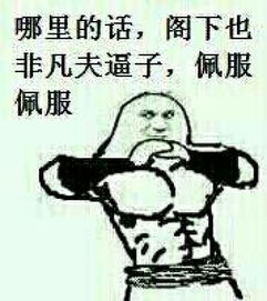  表情包装逼