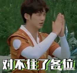  又一个宝藏男孩,金瀚这嘴炮技能怎么以前没发现呢