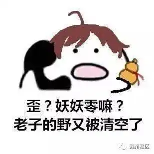 在嘛出来玩表情包偷走