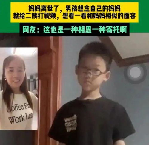  令人泪奔,男孩想念去世的妈妈,跟二姨视频通话