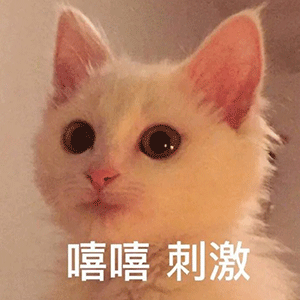  罗老师是如何做好九年教育和保密工作的