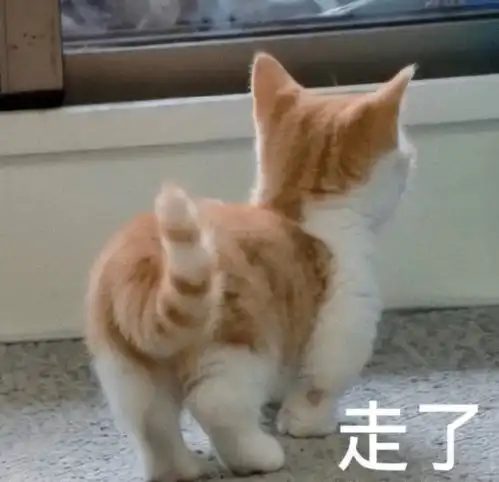  日常表情包人家就是想粘着你