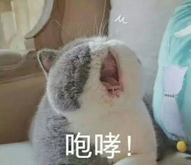 性暗示表情包婴儿床