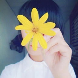  菊花女生头像