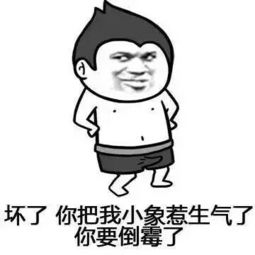 表情包斗图大赛丁丁丁丁丁丁相玉阿的美拍