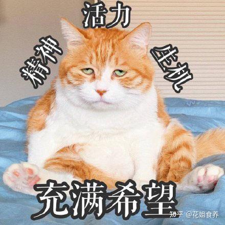  脾虚的人建议收藏健脾胃16字口诀36种食物,这样吃健康又苗条