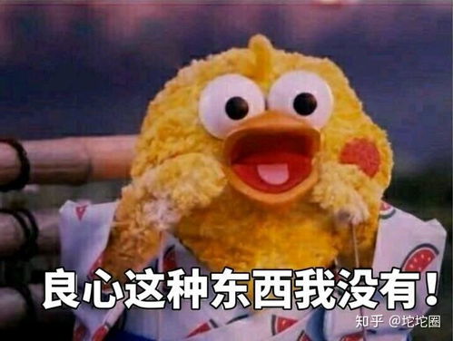  那些年吃过的猫粮