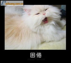  6小闷2010的时尚图片