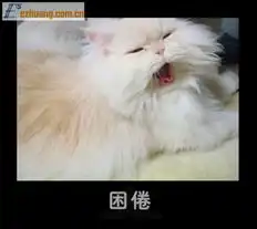  6小闷2010的时尚图片