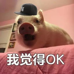  相见恨晚的补水大搜罗,让你...湿湿哒