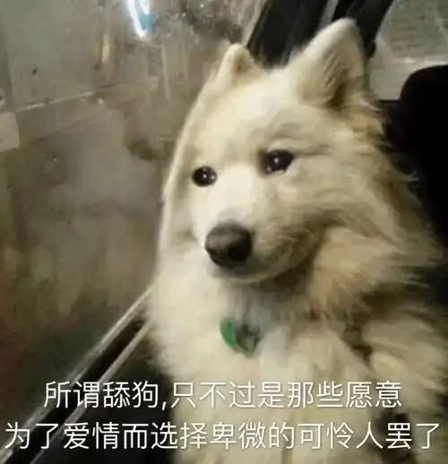  就算ta让我痛苦欲绝,我还是无法选择分手