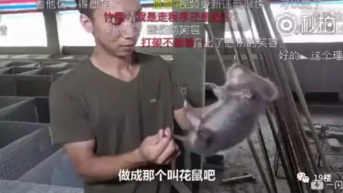  笑到泪奔竹鼠表情包窜上热搜吃它有一百种理由漂亮抑郁中暑