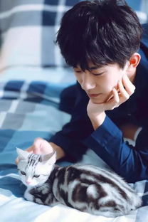 易烊千玺养猫,权志龙养狗,罗志祥......养的是猪