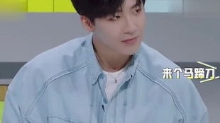  我们的师父刘宇宁执着于手势舞,只因为它简单,太逗了