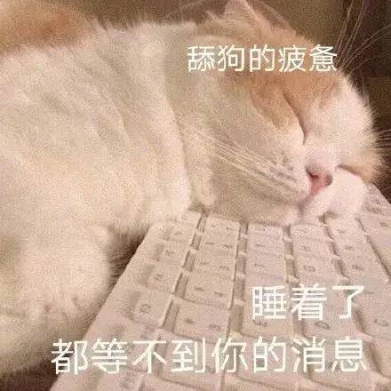  转入尖子班之大佬都宠我抖音版伪装学霸专场来了