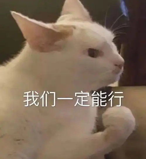  小猫咪表情包