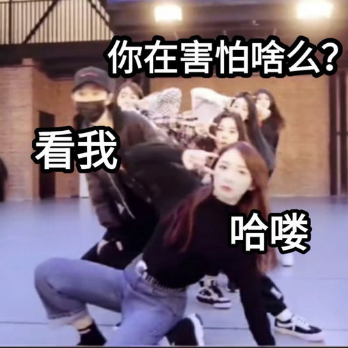  哈哈哈哈哈,又开始出表情包啦