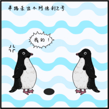  当两只阿德利企鹅遇到一块石头