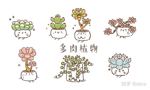  超萌的手绘t恤图案多肉植物图案