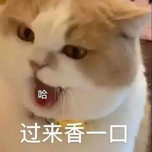  表情包过来给我香一个