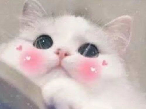  希望微信增加的功能