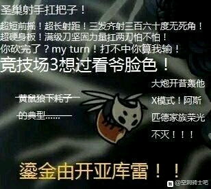  空洞骑士表情包1