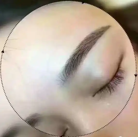 你好的表情包眉毛