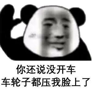  表情包还说没开车,车轮子都压我脸上了