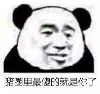  熊猫头表情包i一群神经病越说越带劲