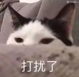 打扰我打胶表情包