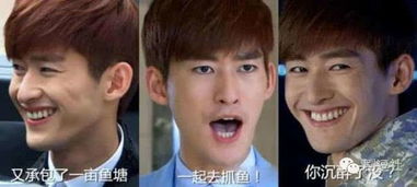  鹿晗吴亦凡杨洋董子健是90后四大小生