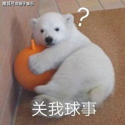  搞笑gif监考老师我感觉你有点狂啊