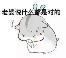  开心一刻哄老婆必备表情包你值得拥有