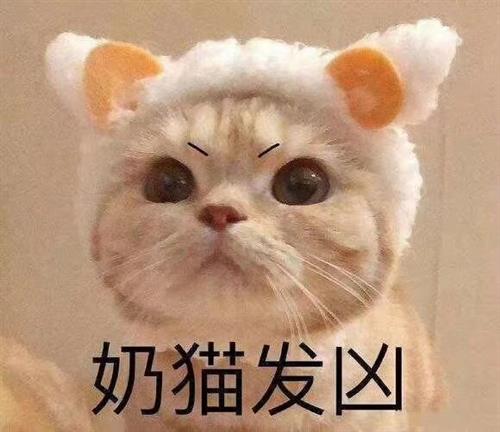  其他科技股正在突破创新高,科大讯飞在忙着清散,肚子里屎太多,拽着飞不起来,哈哈哈