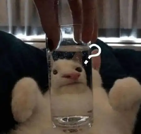  表情包今天我也是一只棒棒的小猫咪