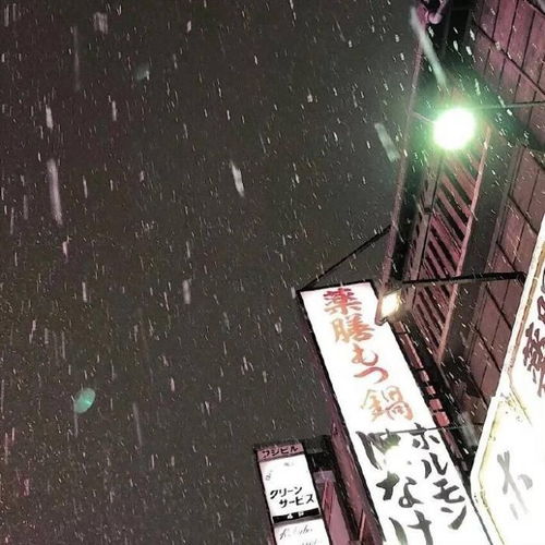  澄园之声你的世界