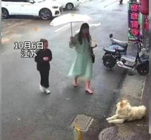  滚动