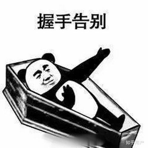  在蚌埠二中读书是什么样的体验