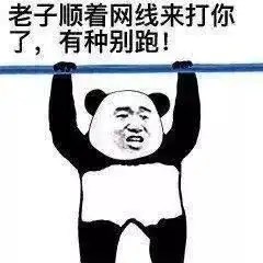  爸比,爱老虎油