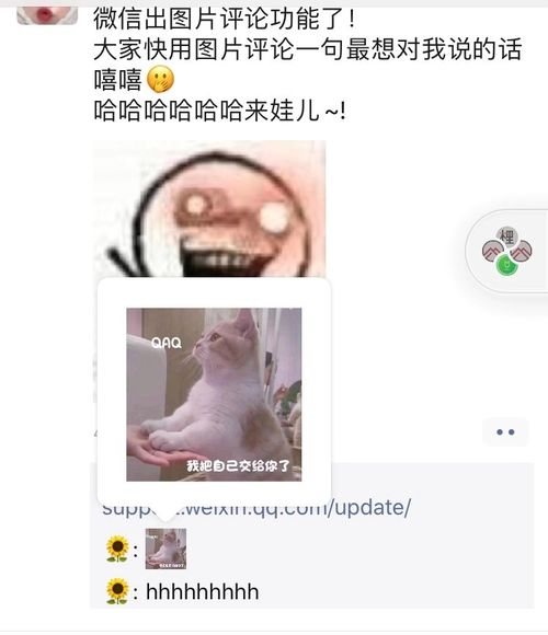  微信ios版更新7.0.9版本,终于可以在评论用表情包斗图了