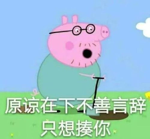  回族看小猪佩奇算不算破戒