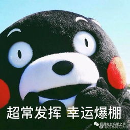  轻松一刻高考表情包千万不要为了谁,放弃最后一道大题