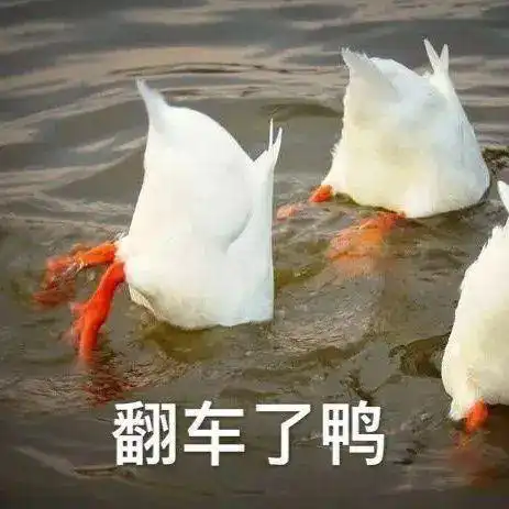  冬季必染的6个发色,高级又显白,简直美炸了